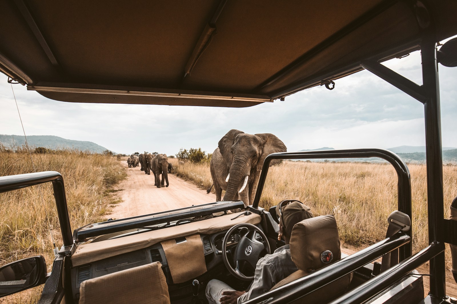 Comment choisir le meilleur pays pour un safari en Afrique?