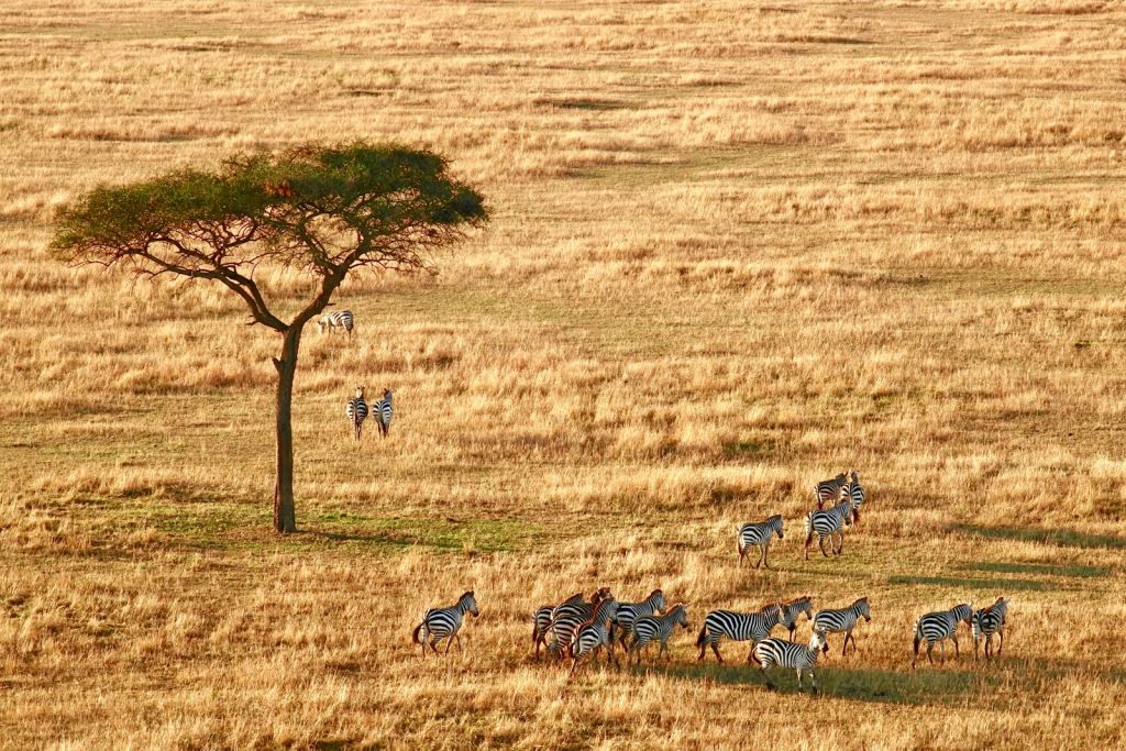 Arusha en Tanzanie